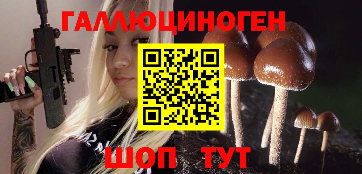 Псилоцибиновые грибы Psilocybe  Галлюциногенные грибы MAGIC MUSHROOMS  Котовск  Вход с VPN 